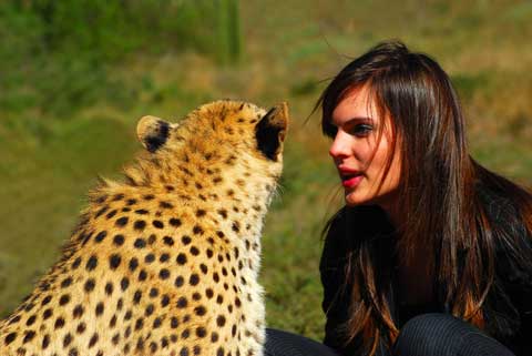 animal behaviorist