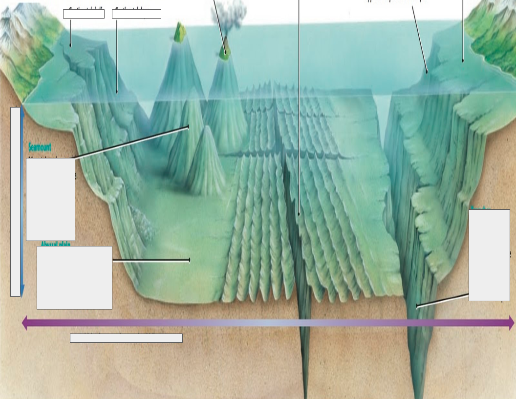 Science Project Ocean Topography