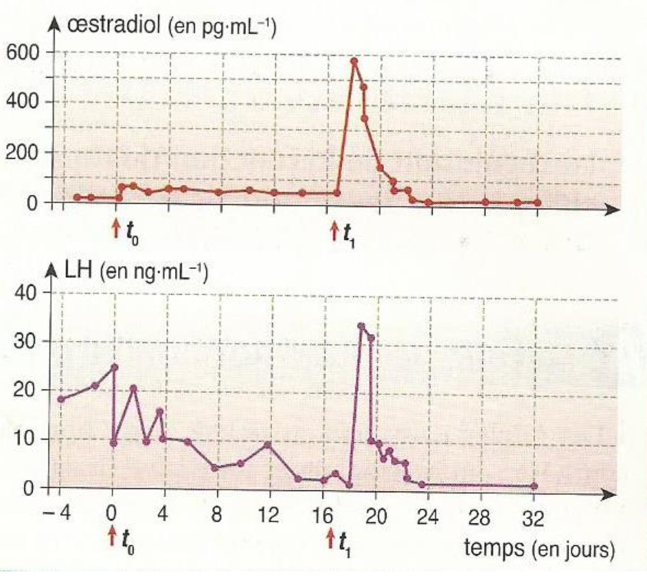 17 beta oestradiol taux élevé 17 beta oestradiol taux élevé